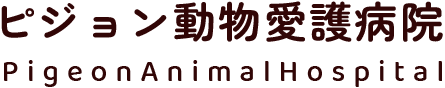 越谷院｜ピジョン動物愛護病院
