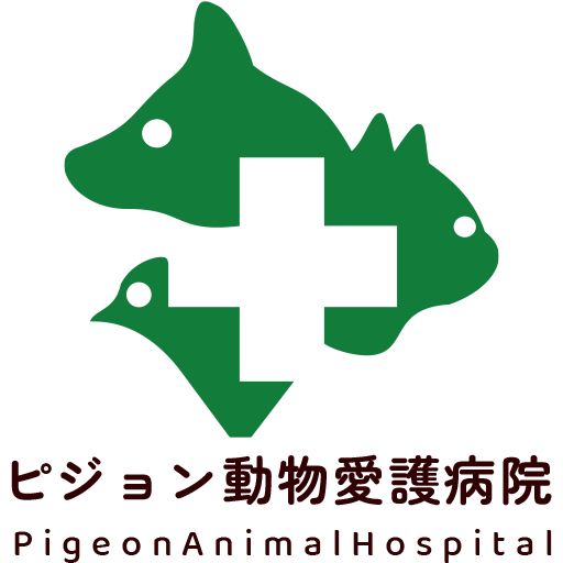 越谷院｜ピジョン動物愛護病院